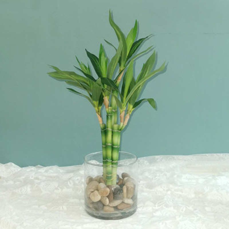 Desktop Organizer Bamboo - Nowa 40cm sztuczna roślina Lucky Bamboo,