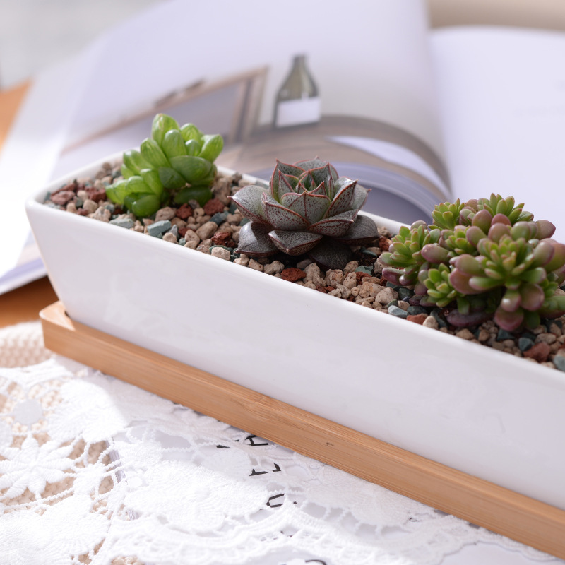 Długi prostokątny biały cerami – Desktop Organizer Bamboo recenzja i cena